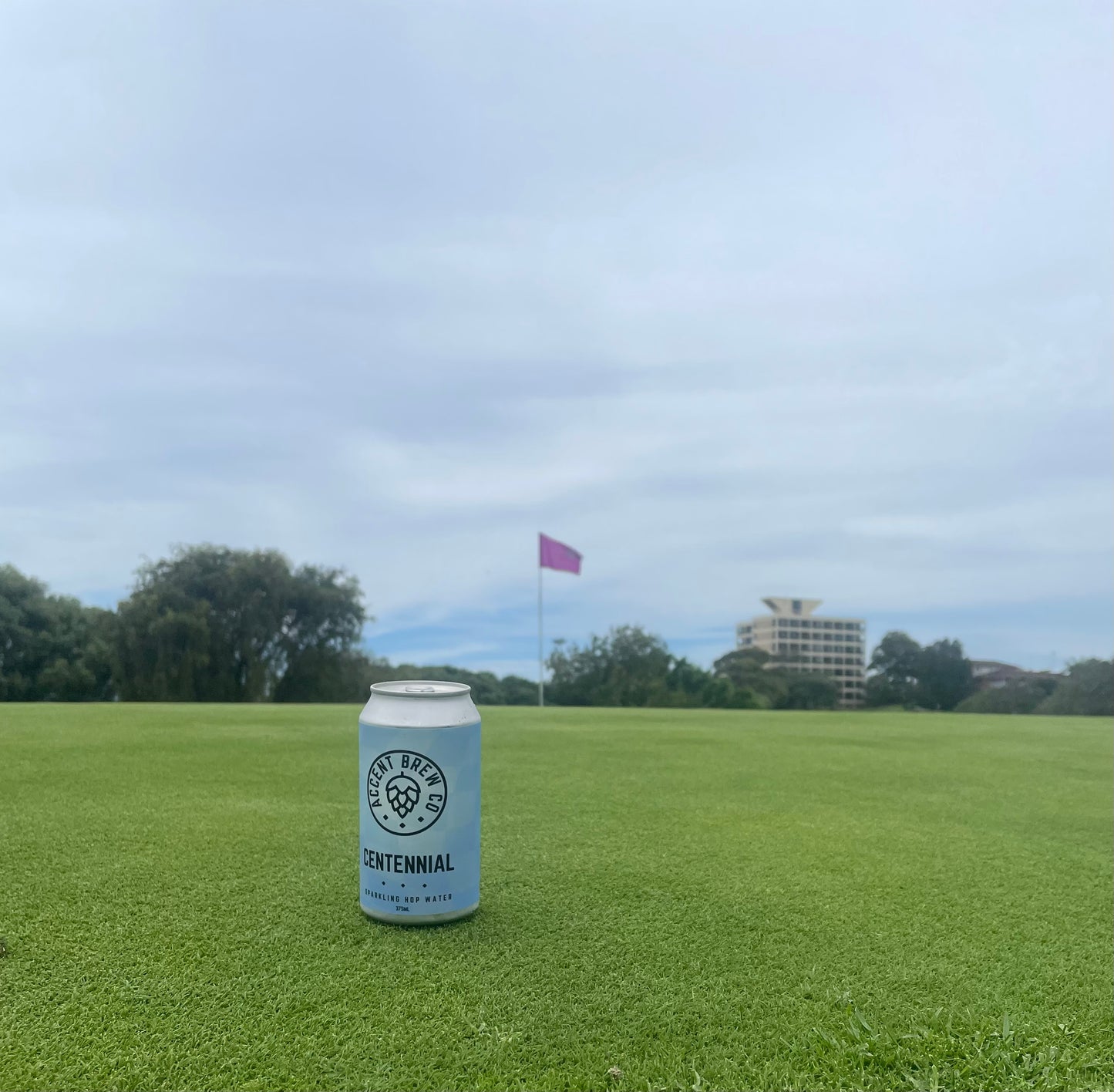 Centennial Hop Water